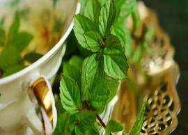 6 Amazing Health Benefits of Spearmint Tea