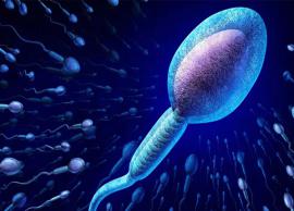 15 Best Remedies for Low Sperm Count
