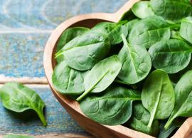 Spinach Rich in Iron Keeps Many Diseases Away