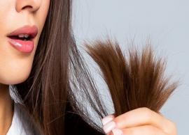 11 Ways To Treat Split Ends at Home Naturally