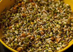 Benefits: Adding a Cup of Sprouts in Breakfast Will Improve Your Body