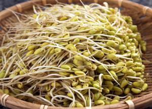 5 Health Benefits of Sprouts