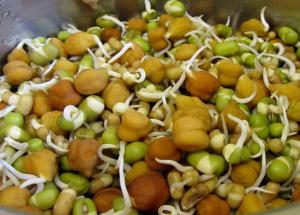 5 Types of Sprouts And Reason Why You Should Eat Them