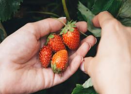 4 Amazing Health Benefits of Strawberries