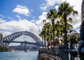 8 Things You Can Do in Sydney for Free