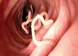 11 Home Remedies That are Useful for Tapeworm