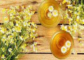5 Proven Health Benefits of Drinking Dandelion Tea
