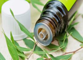 5 Benefits of Using Tea Tree Oil for Skin