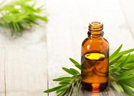 5 Side Effects From Tea Tree Oil You Might Face