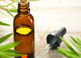 5 Most Amazing Benefits of Using Tea Tree Oil for Hair