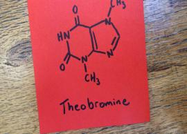 6 Proven Health Benefits of Theobromine