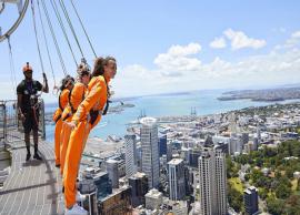 5 Weird Things To Do in Auckland, New Zealand