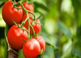 5 Beauty Benefits of Using Tomatoes
