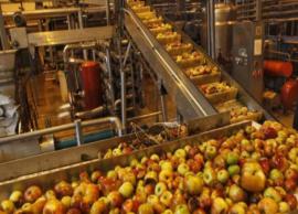 Fruit growers, traders under LeT, JeM's radar to stop Jammu and Kashmir trade