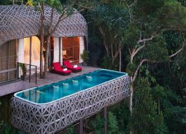 10 Breathtaking Treehouses You Can Choose To Stay Around The World
