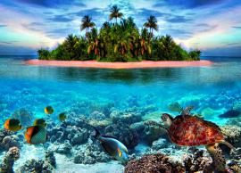 10 Most Beautiful Tropical Islands To Visit in The World
