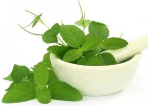 3 Ways To Use Tulsi Leaves in Face Pack
