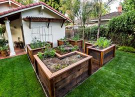5 Different Types of Home Gardening You Can Try 