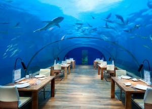 Stay With Sharks in These 5 Underwater Hotels Around The World