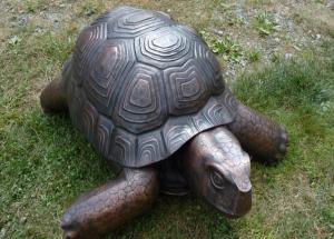 Feng Shui Tips To Place Tortoise in House For Prosperity