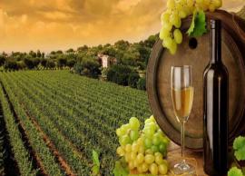 6 Must Visit Vineyards in Bangalore for Wine Lovers