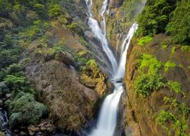 5 Beautiful Waterfalls To Visit Near Pune