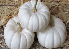 White Pumpkin Will Help Enhance Immune System
