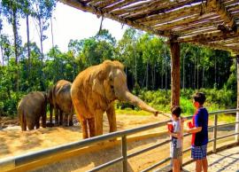 7 Biggest Zoos of India You Must Visit Once in Lifetime