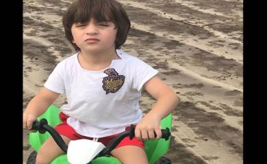 Gauri Khan Share Pics of Cutest Knight Rider