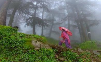 5 Freaking Awesome Cafes in Himachal Pradesh