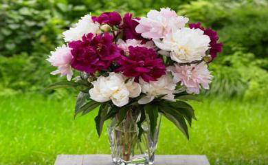 5 Ways To Keep Flowers Fresh For Long