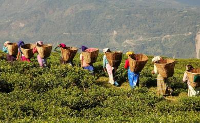 5 Mouth-watering North East Dishes Worth Travel For