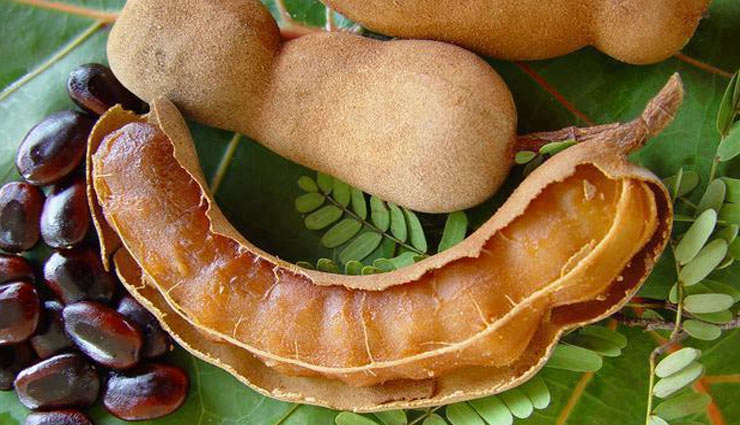 इमली के पत्ते के ये औषधीय गुण शायद आप नहीं जानतें होंगे tamarind benefits,imli,health benefits,healthy living,Health tips,Health