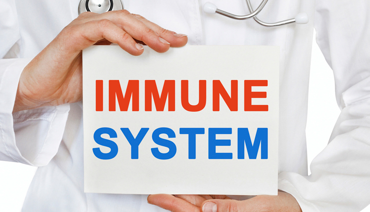 elderberry,elderberry health benefits,elderberry good for health,healthy food elderberry,elderberry healthy food,health benefits of elderberry fruit,Health,heath tips