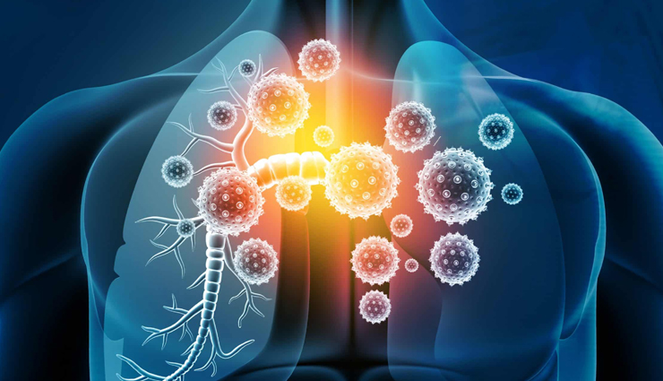 onion seed oil health benefits,lesser-known benefits of onion seed oil,health advantages of kalonji oil,onion seed oil for health benefits,uncommon benefits of black seed oil,kalonji oil hidden health perks,onion seed oil medicinal benefits,kalonji oil surprising health benefits,black seed oil lesser-known advantages,health-boosting properties of onion seed oil,kalonji oil for immunity,onion seed oil and health,black seed oil health advantages,onion seed oil for skin health,kalonji oil therapeutic benefits,onion seed oil medicinal uses,black seed oil holistic benefits,onion seed oil healing properties,kalonji oil nutritional advantages,black seed oil lesser-known perks