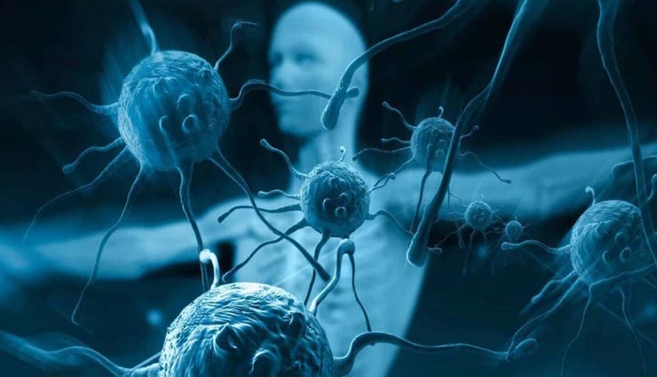 बेहतर इम्यूनिटी बनाएगी आपकी सेहत, ये आहार करेंगे आपकी मदद