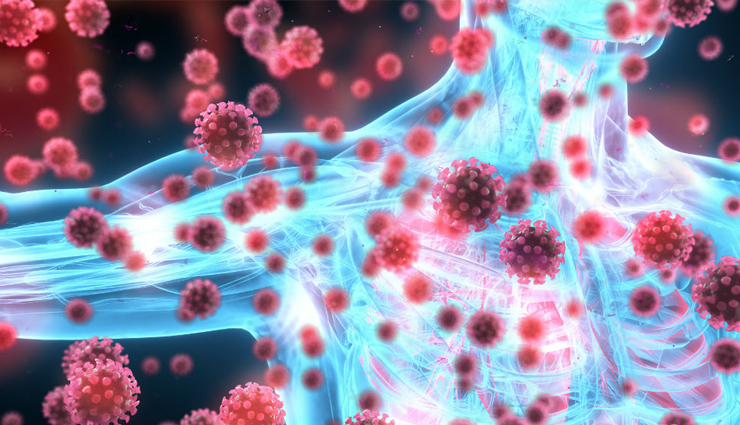 tomato,tomato health benefits,health benefits of tomato,tomatoes for health,healthy food,Health tips,healthy living,Health