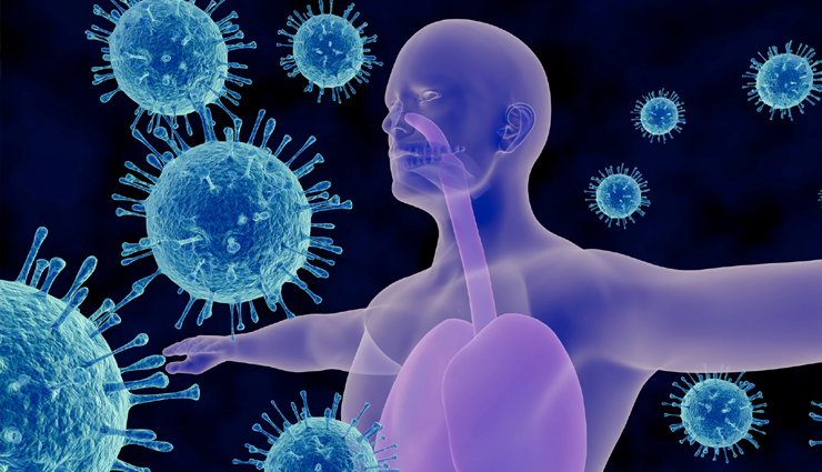 sunflower seeds,health benefits of consuming sunflower seeds,sunflower seeds health benefits,sunflower seeds healthy food,healthy food sunflower seeds,Health,Health tips