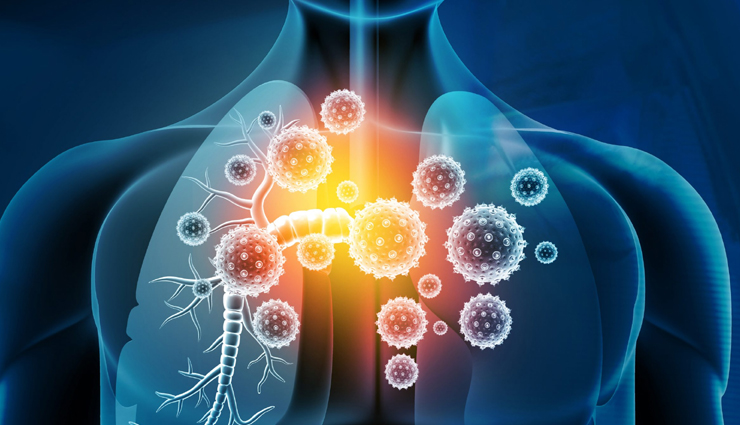 aloe vera,aloe vera health benefits,aloe vera healthy food,healthy food aloe vera,Health,healthy tips,healthy food