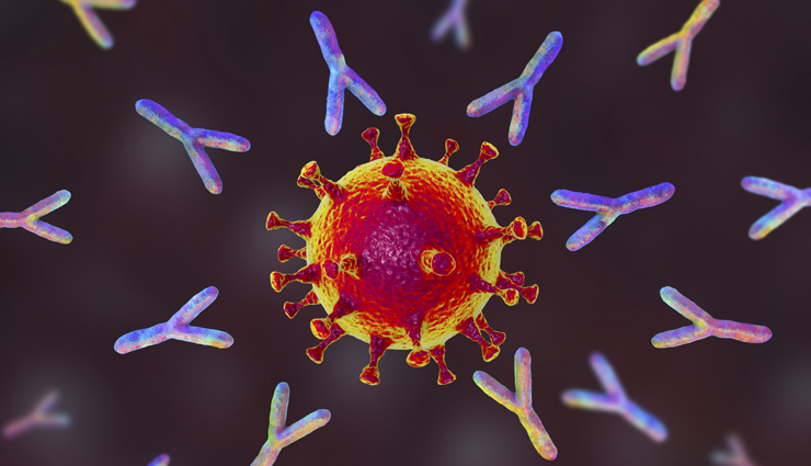 papaya,papaya health updates,health benefits of papaya,papaya for good health,healthy food papaya,Health,Health tips