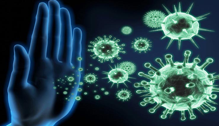 पाना चाहते हैं सर्दियों में भी मजबूत इम्यूनिटी, दिनचर्या में शामिल करें ये 5 आहार