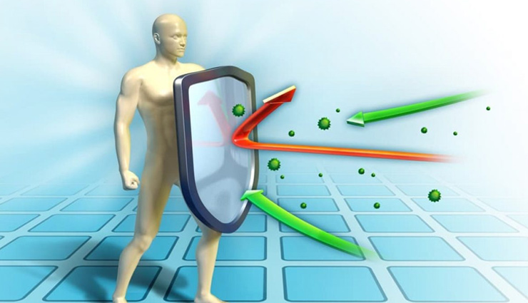 ghee,ghee health,ghee health benefis,healthy food ghee,Health,Health tips