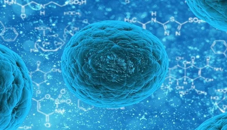 आखिर कोरोना वायरस कैसे आपके इम्यून सिस्टम को दे रहा हैं चकमा, जानें इससे जुड़ी शोध 