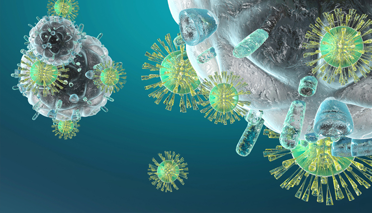 horse gram,health benefits of consuming horse gram,horse gram health benefits,health tips horse gram,healthy food horse gram,Health,Health tips