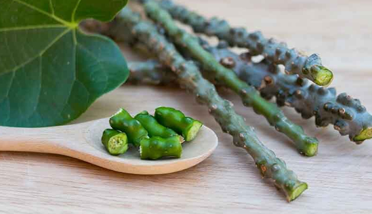 मौसम में बदलाव के साथ ही घटने लगती हैं इम्यूनिटी, इन तरीकों से बढ़ाएं इसे immunity starts decreasing with the change in weather,increase it in these ways,Health,healthy living