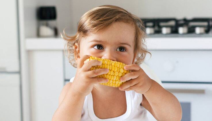 corn,corn health benefits,health benefits of eating corn,corn prevents hemorrhoids,corn weight gain,corn prevents cancer,corn prevents anemia,corn improves eye health,Health,health benefits,Health tips