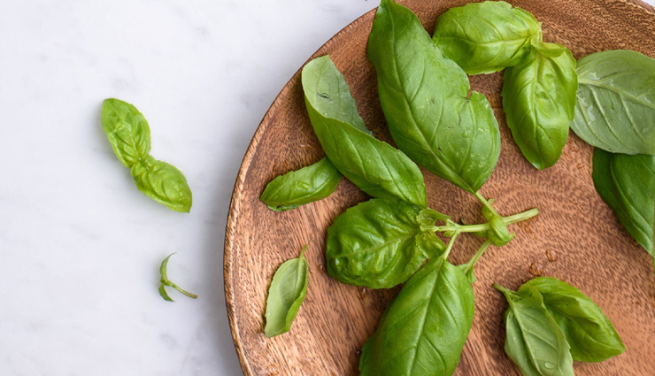 basil,health benefits of basil,basil health benefits,health benefits,Health,Health tips
