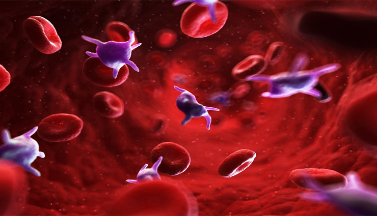 10 Foods That Help To Increase Blood Platelet Count in Dengue