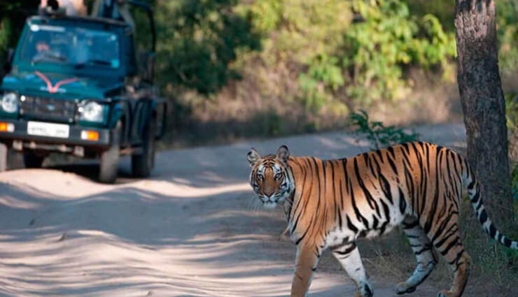 india,india a must visit travel destination,reasons to visit in india