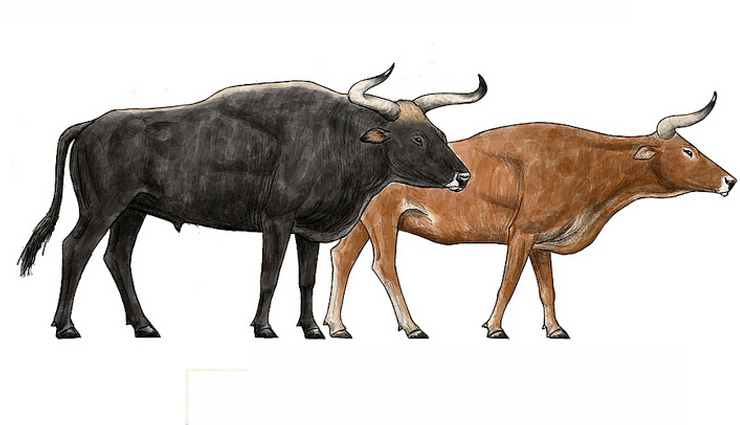 5 indian animals that are extinct now